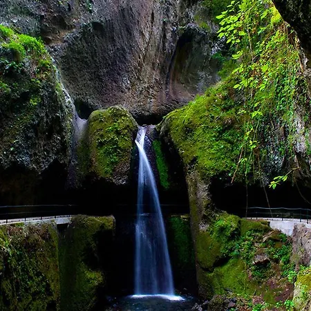 Madalena Tiny House *