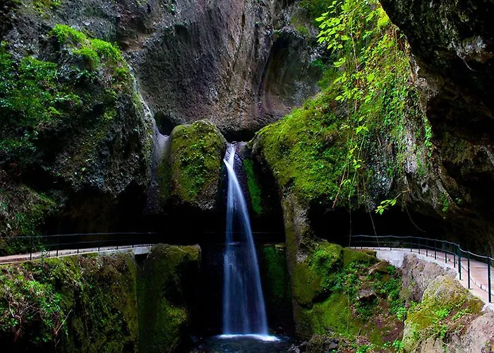 Madalena Tiny House *